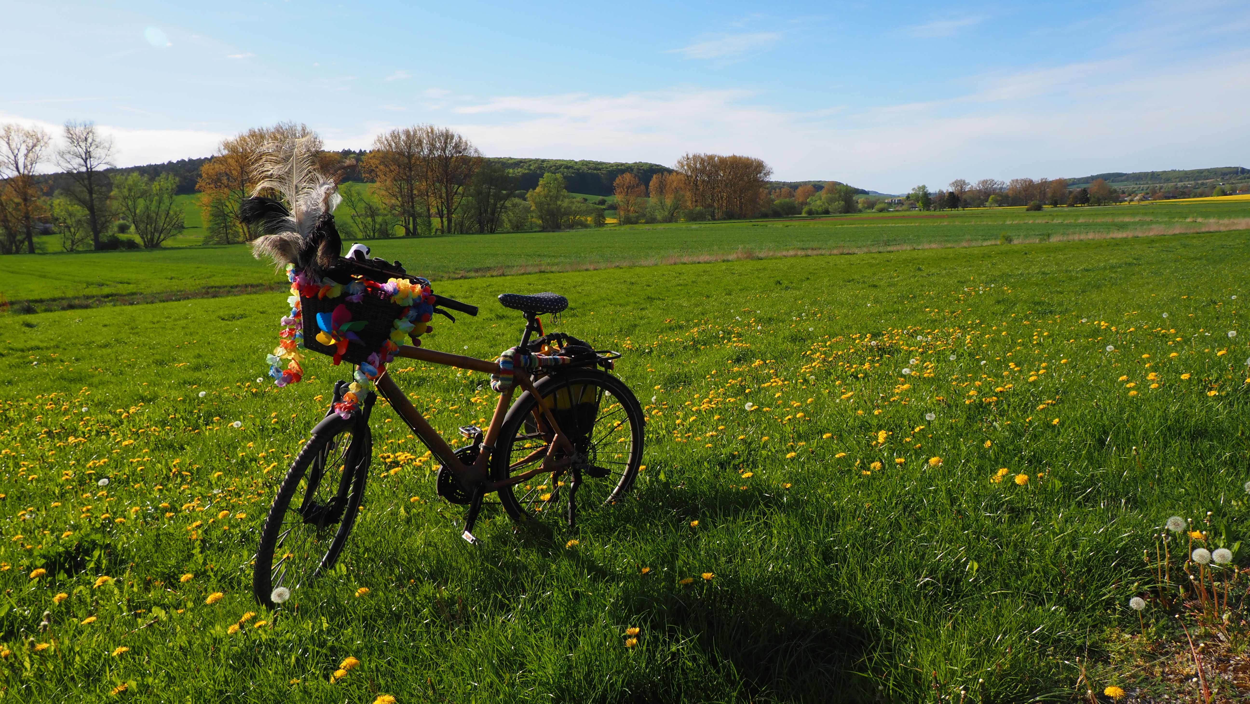 leere Wiese mit Fahrrad
